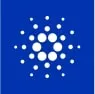 Cardano